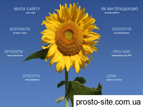 wst.com.ua