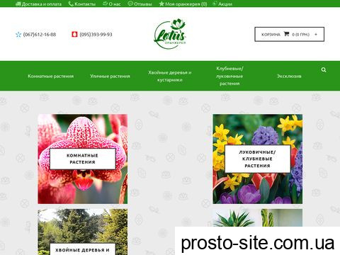 lotus.net.ua