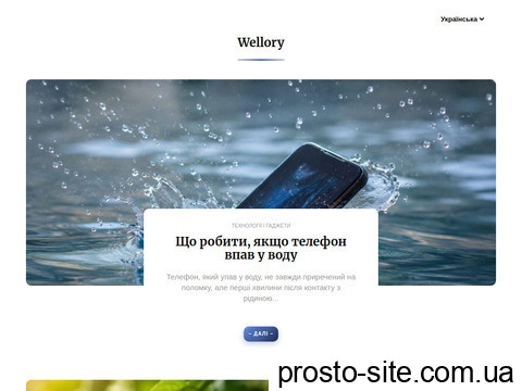 wellory.com.ua